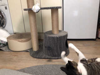 거니건이님이 올린 리뷰 사진 3