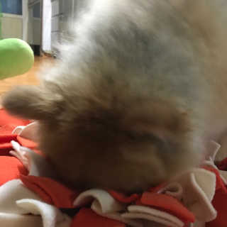 파이누이님이 올린 리뷰 사진 1