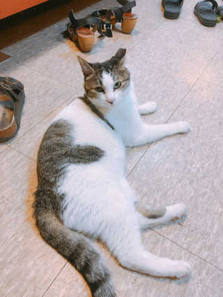 YoonheeSeo님이 올린 리뷰 사진 3