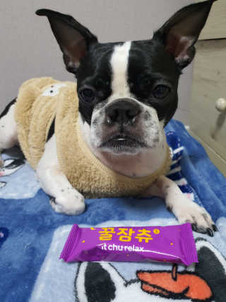 삼꽃단하나님이 올린 리뷰 사진 4