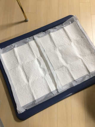 [펫토리아] 한판뚝딱 강아지 배변판 실속형,초대형 — 5점을 준 리뷰어가 2019년 5월 올린 사용 사진