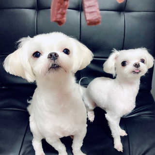 VV님이 올린 리뷰 사진 1