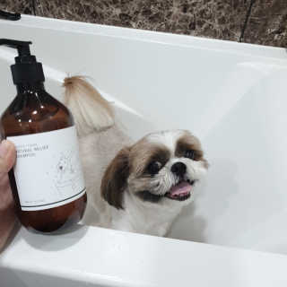 김아빈님이 올린 리뷰 사진 1