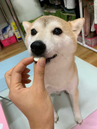 라미라미님이 올린 리뷰 사진 2