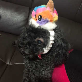 쁘띠율님이 올린 리뷰 사진 2