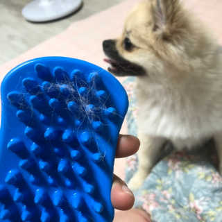 은이쨩님이 올린 리뷰 사진 3