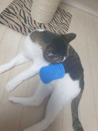 JinjuHwang님이 올린 리뷰 사진 2
