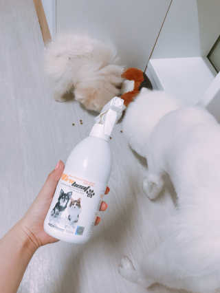 덩덩어니님이 올린 리뷰 사진 1