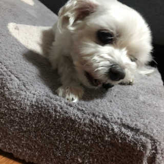 유니뀨님이 올린 리뷰 사진 2