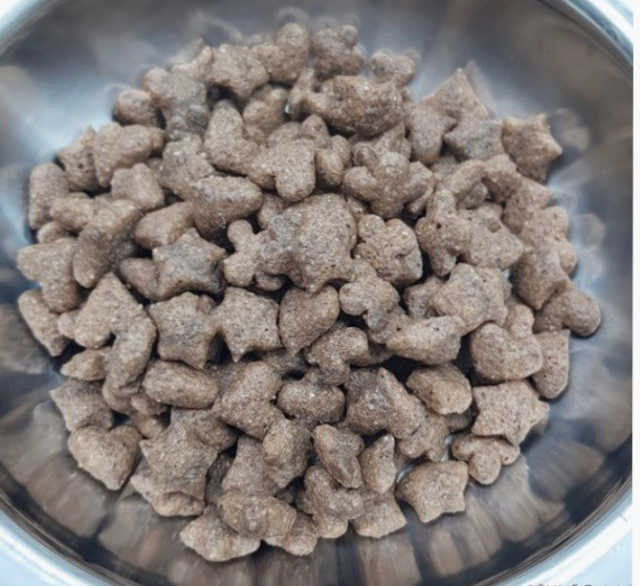 인섹트캣 글루텐프리（1.2KG） 리뷰 사진