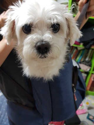주영님이 올린 리뷰 사진 2