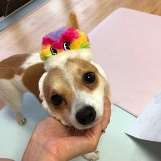 최지영님이 올린 리뷰 사진 2