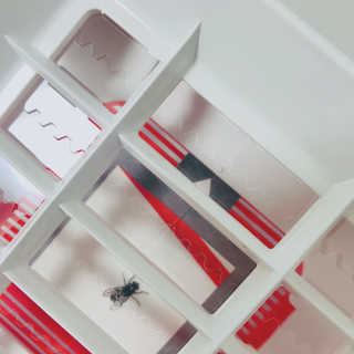 전꾸님이 올린 리뷰 사진 2