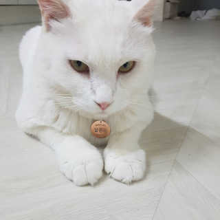 IS2UL님이 올린 리뷰 사진 2