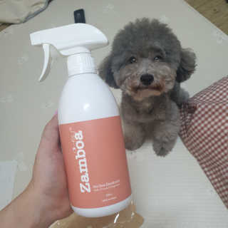 4또러버님이 올린 리뷰 사진 2