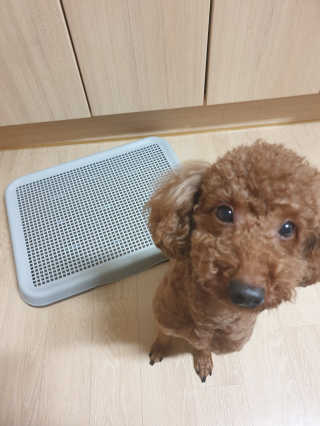 호호엄마님이 올린 리뷰 사진 1