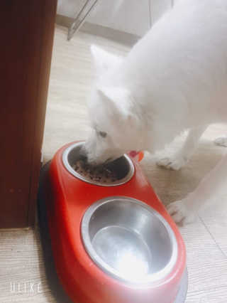 서희석님이 올린 리뷰 사진 3