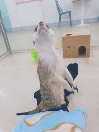 뚜리님이 올린 리뷰 사진 4