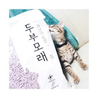 jemjug님이 올린 리뷰 사진 1