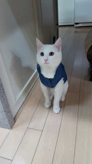 qwe12님이 올린 리뷰 사진 4