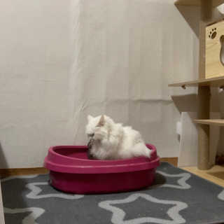 례진님이 올린 리뷰 사진 3