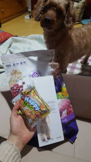 꾹꾹이님이 올린 리뷰 사진 1