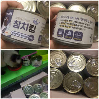 동원 참치킹 고양이 캔 12개입 — 5점을 준 리뷰어가 2018년 10월 올린 사용 사진