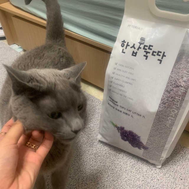 [펫토리아]한삽뚝딱 프리미엄 고양이 두부모래 리뷰 사진