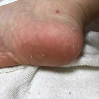 Zoe님이 올린 리뷰 사진 3