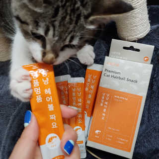 라온시연님이 올린 리뷰 사진 2