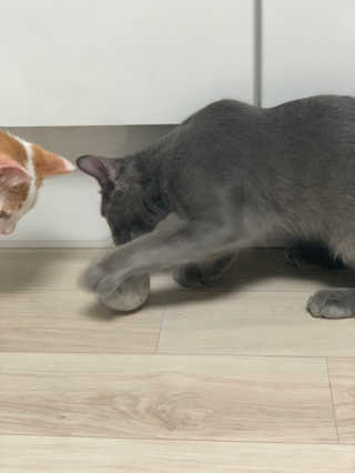 효성님이 올린 리뷰 사진 3