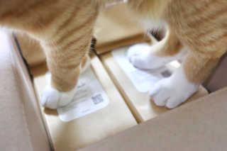 eeeunn님이 올린 리뷰 사진 3
