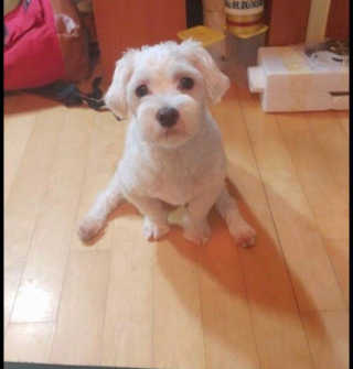 충민님이 올린 리뷰 사진 4