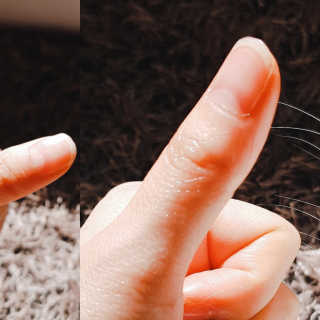 논지님이 올린 리뷰 사진 2