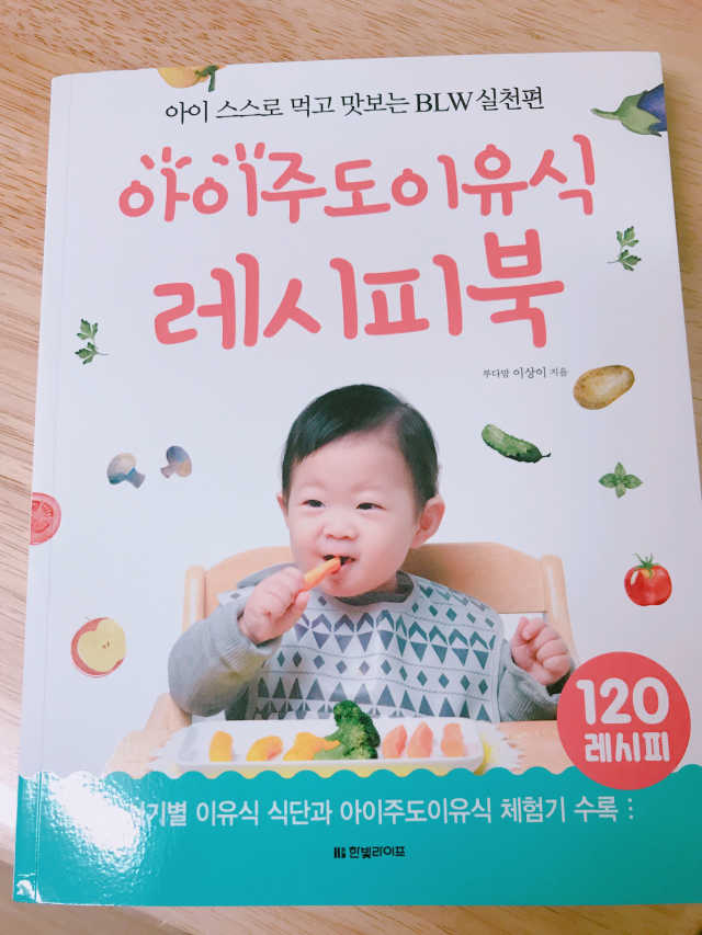아이주도이유식 레시피북 리뷰 사진