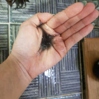 the naked object [탈모볼륨샴푸] 디블랙 팩 샴푸 — 4점을 준 리뷰어가 2019년 12월 올린 사용 사진