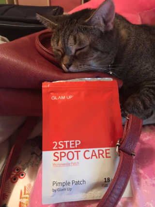StephanieClayton님이 올린 리뷰 사진 1