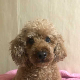 햄토리님이 올린 리뷰 사진 1