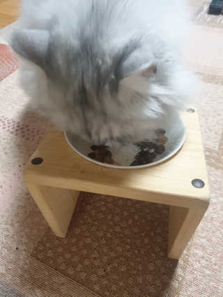 바다의해님이 올린 리뷰 사진 3