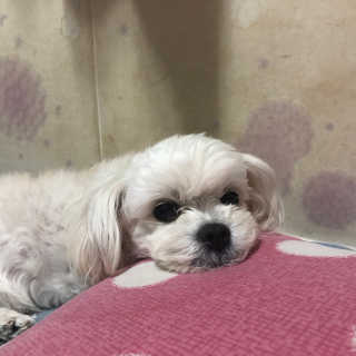 공쥬님이 올린 리뷰 사진 1