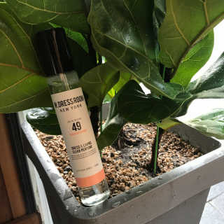 더블유드레스룸 드레스퍼퓸 150ml — 5점을 준 리뷰어가 2018년 6월 올린 사용 사진