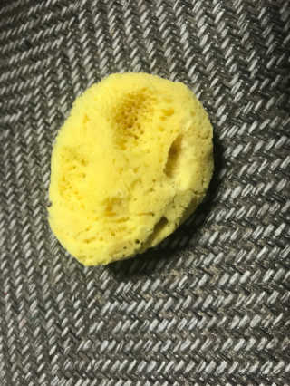 카랄라님이 올린 리뷰 사진 2