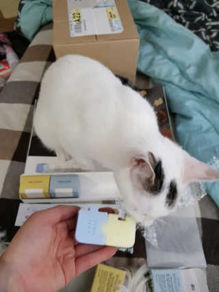 소뇨님이 올린 리뷰 사진 1