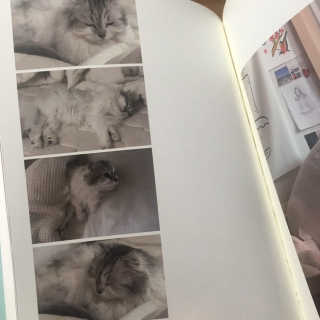 이브생로랑님이 올린 리뷰 사진 2