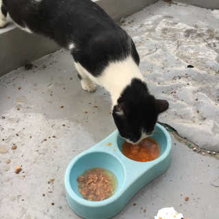 정민희님이 올린 리뷰 사진 3