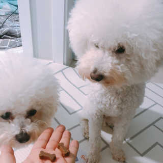 윤토마토님이 올린 리뷰 사진 1