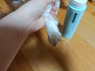 연이님이 올린 리뷰 사진 4