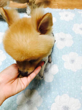 쿠키쿠님이 올린 리뷰 사진 3