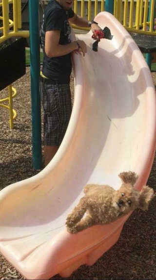 스님래퍼님이 올린 리뷰 사진 3