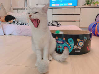 홍이님이 올린 리뷰 사진 2